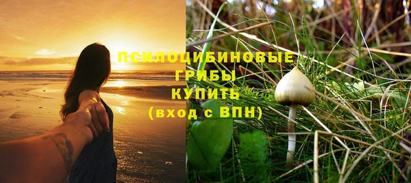 дурь Аркадак