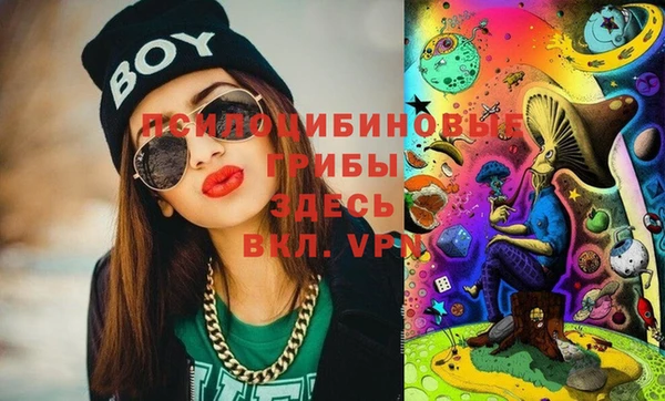 дурь Аркадак