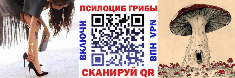 Галлюциногенные грибы Cubensis  Сурск 